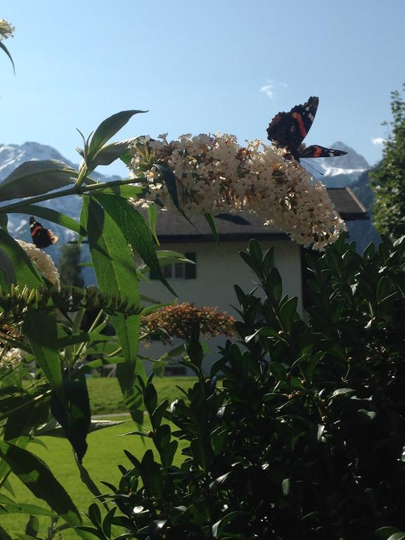 Hotel Garni Tannleger Brand (Vorarlberg)