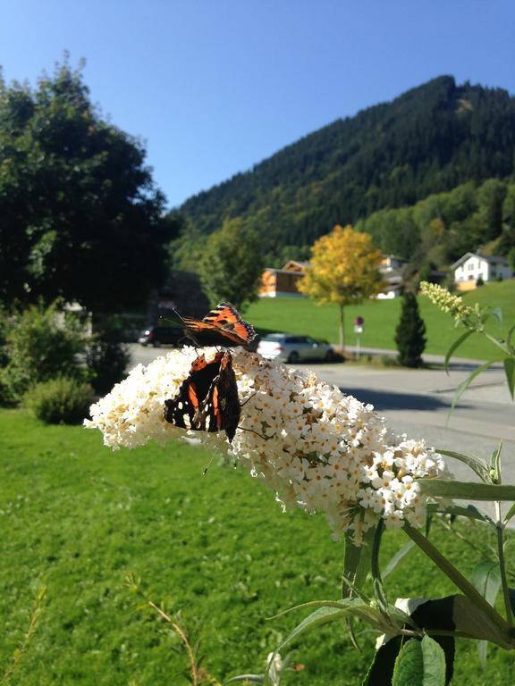Garni Tannleger Brand (Vorarlberg)