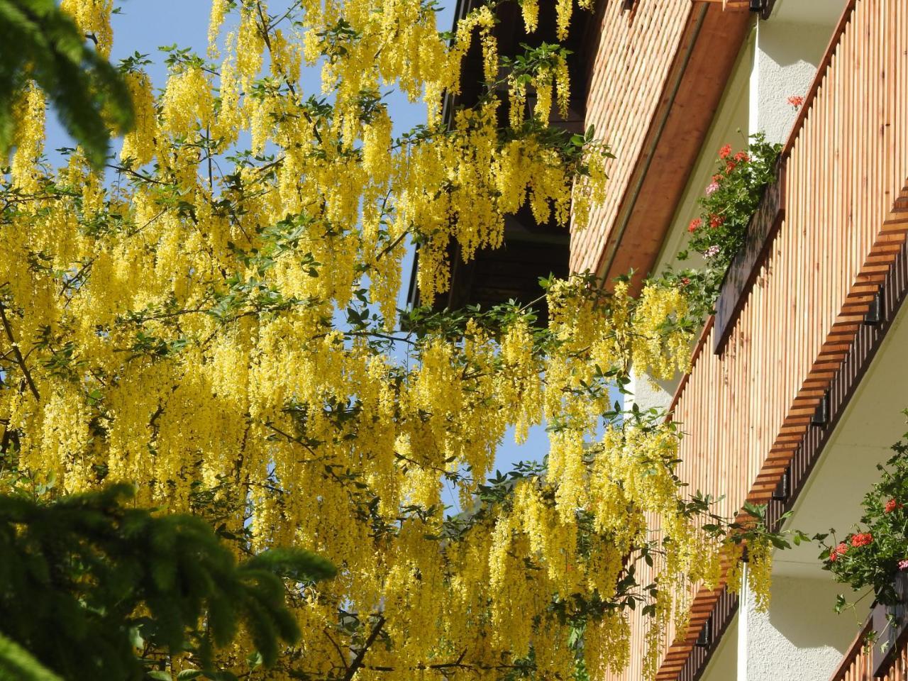 Garni Tannleger Hotel