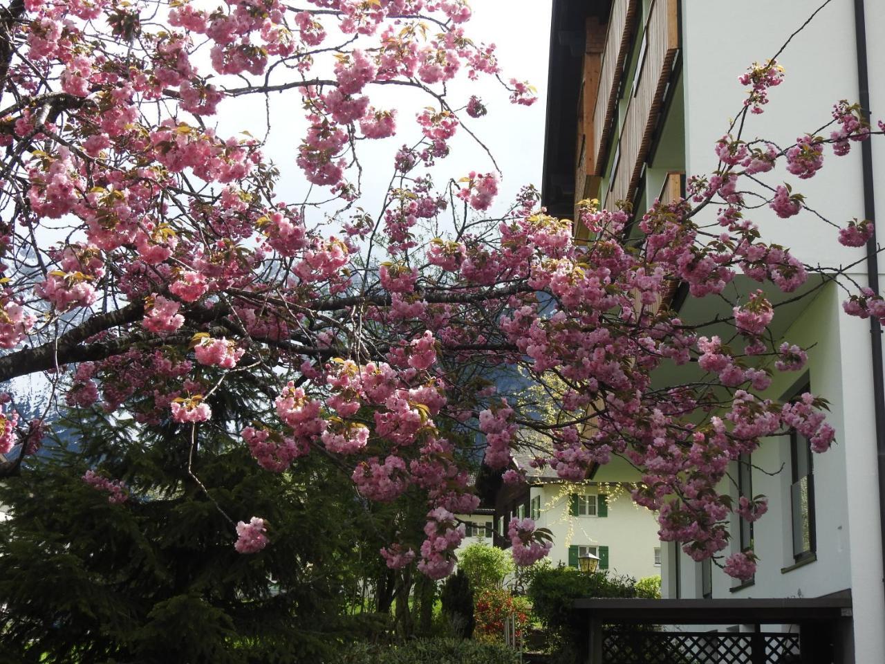 Garni Tannleger Hotel